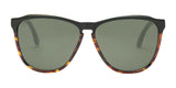 Electric Encelia Sunglasses | Size 58