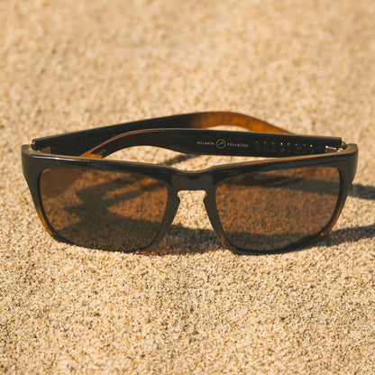 Electric Knoxville M Sunglasses Black Amber / Bronze Polarized