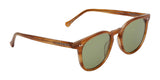 Electric Oak Sunglasses | Size 50