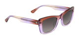 Electric Portofino Sunglasses | Size 51