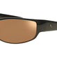 Tripel Bronze (Aviation)