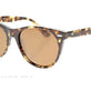 Tortoise Shell