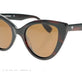 Tortoise Shell