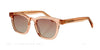 Fatheadz DRAMA Sunglasses / Trans Brown / Brown