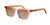 Fatheadz DRAMA Sunglasses / Trans Brown