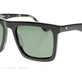 Black Tortoise Shell