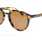 Tortoise Shell