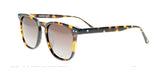 Fatheadz ROOSTER Sunglasses Tortoise Shell Gradient Brown