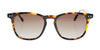 Fatheadz ROOSTER Sunglasses / Black / Grey