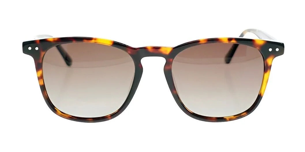 Fatheadz ROOSTER sunglasses featuring tortoiseshell oversized frames with square lenses and a subtle gradient, seen from the front.