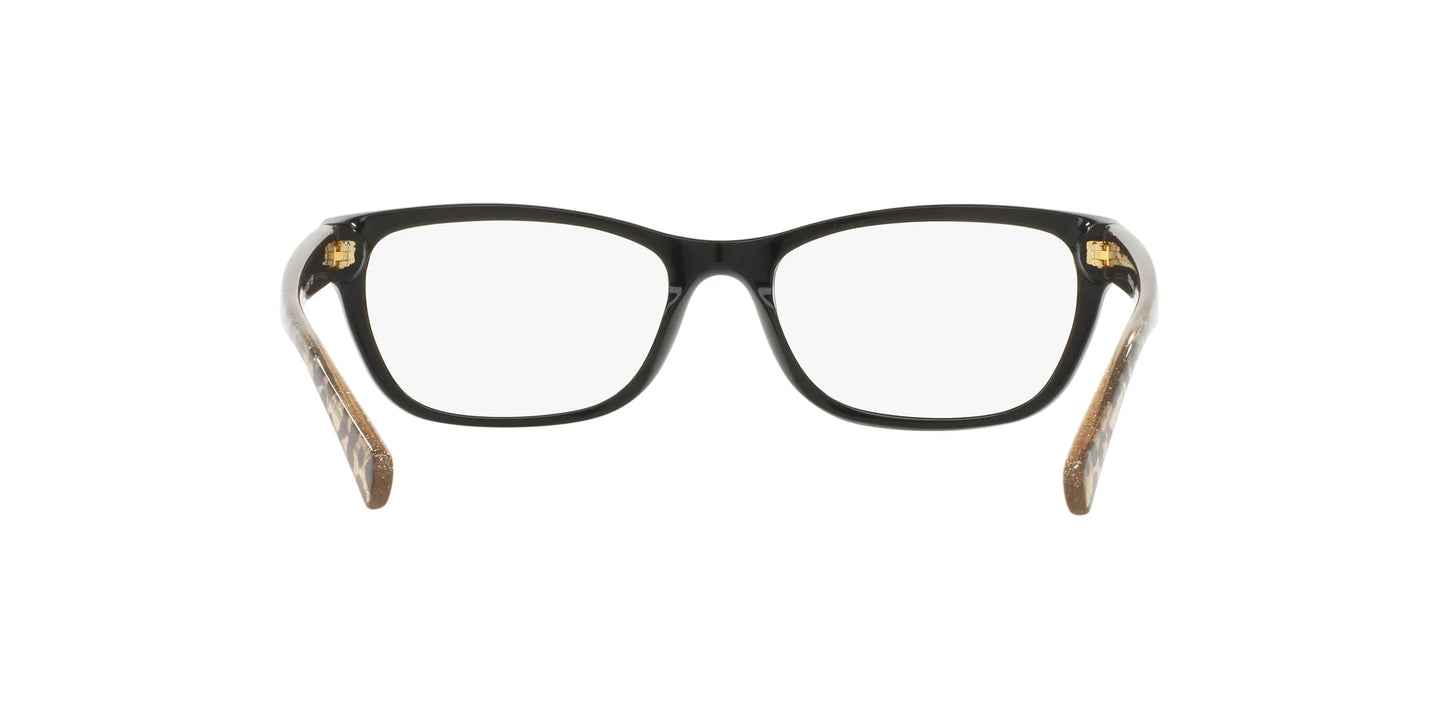 Coach HC6082 Eyeglasses | Size 53