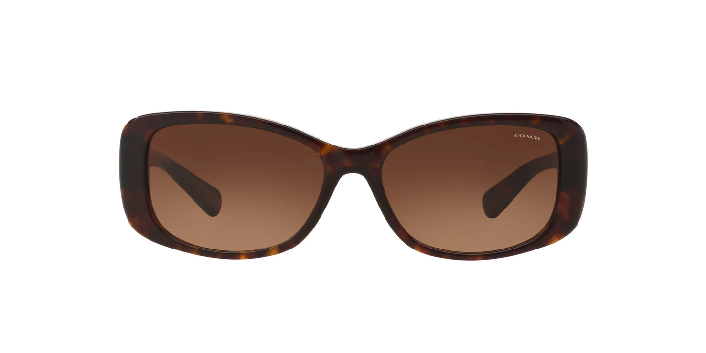 Coach L156 HC8168 Sunglasses | Size 56