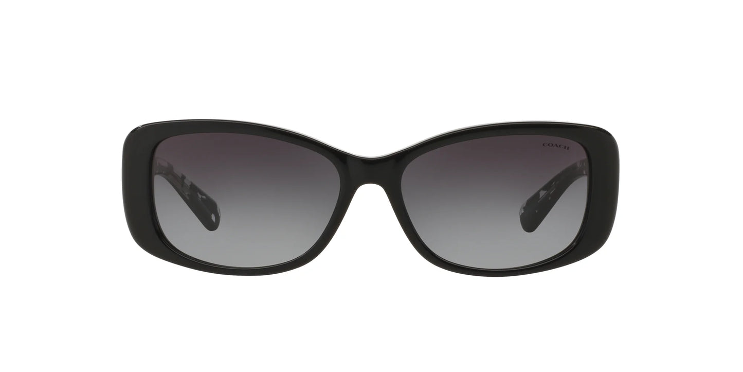 Coach L156 HC8168 Sunglasses | Size 56