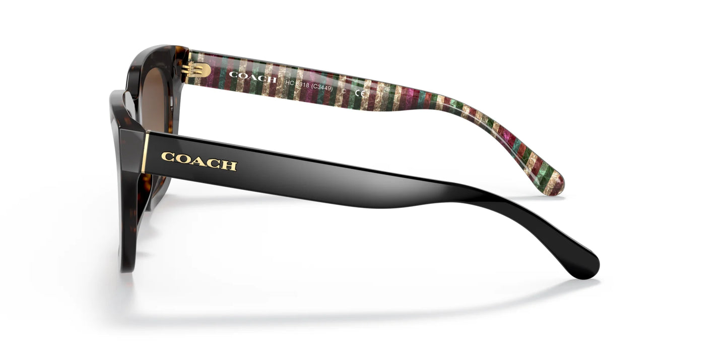 Coach C3449 HC8318 Sunglasses | Size 52
