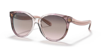 Coach C6181 HC8321 Sunglasses Transparent Pink Ombre / Brown Pink Gradient