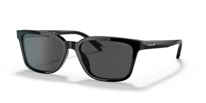 Coach C6196 HC8328U Sunglasses Black / Dark Grey Solid
