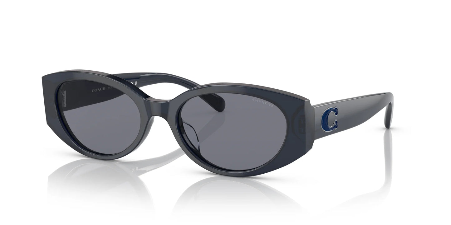 Coach CD473 HC8353U Sunglasses Transparent Blue / Blue Solid