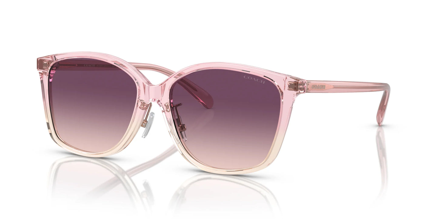 Coach CH617 HC8361F Sunglasses Transparent Pink Gradient / Purple Pink Gradient