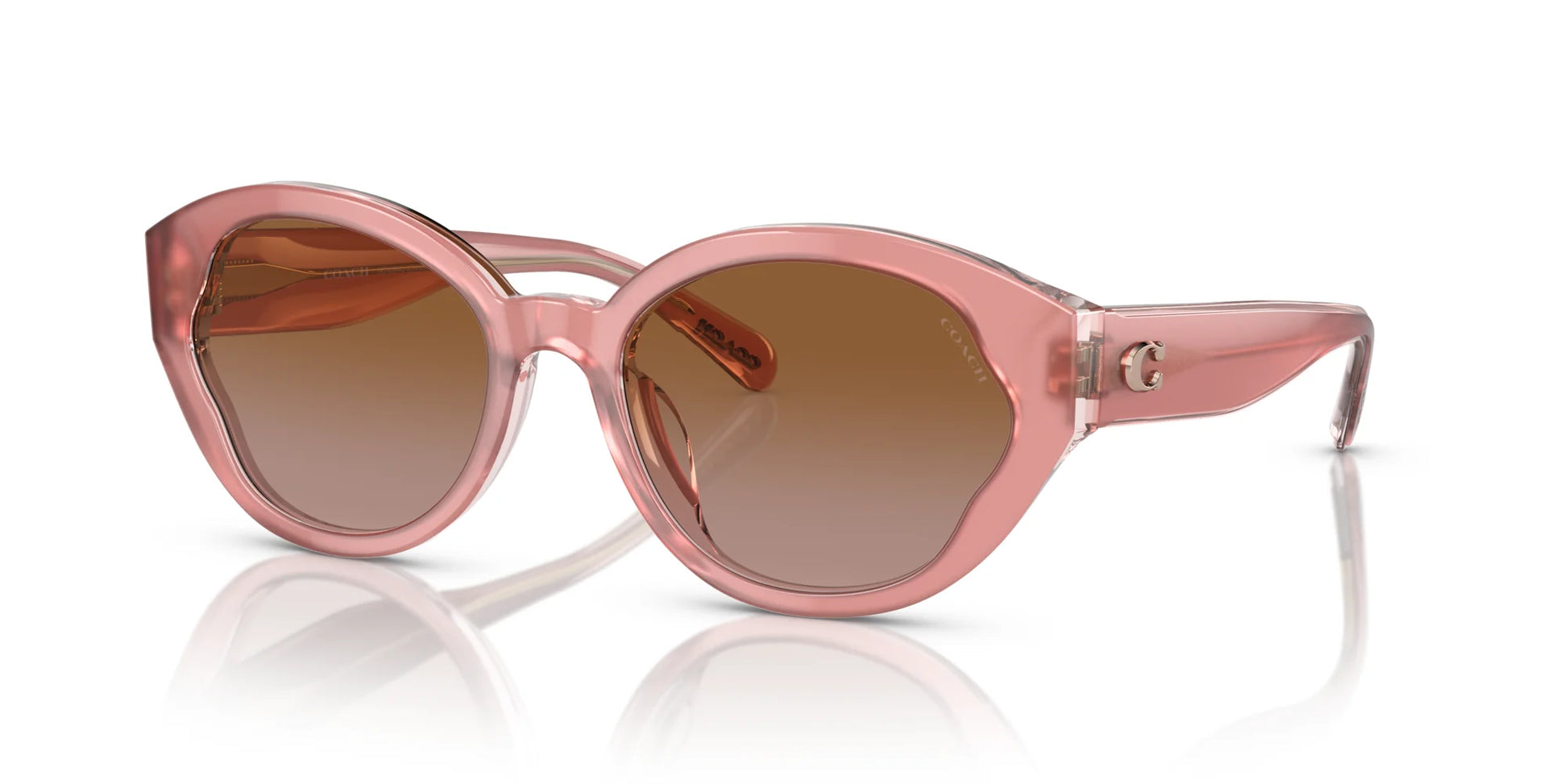 Coach CH569 HC8364U Sunglasses Milky Pink / Transparent Pink / Brown Gradient