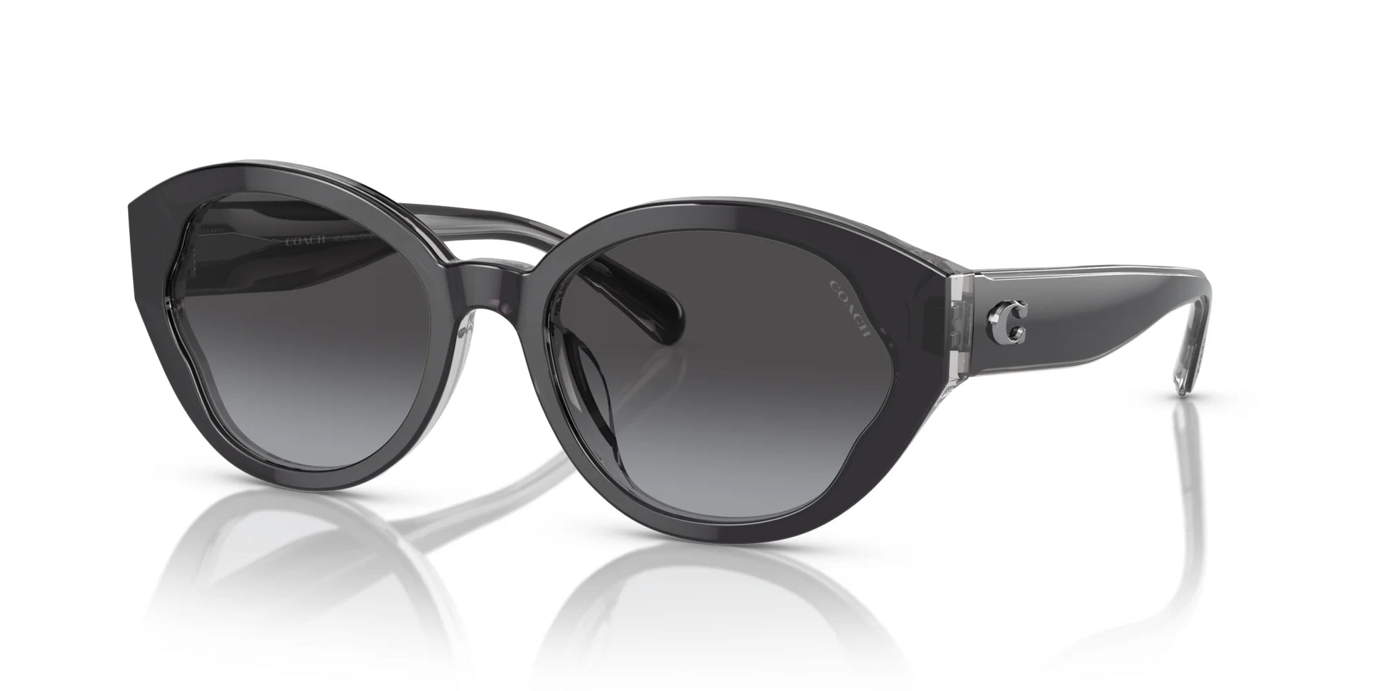 Coach CH569 HC8364U Sunglasses Black / Transparent Grey / Grey Gradient