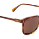 Shiny Dark Brown Tortoise