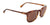 Hobie Eyewear CORTEZ Sunglasses | Size 58 / Shiny Dark Brown Tortoise