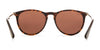 Hobie Eyewear MAYWOOD Sunglasses | Size 54 / Shiny Tortoise/Gold / Cobalt Mirror
