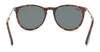Hobie Eyewear MAYWOOD Sunglasses | Size 54 / Shiny Tortoise/Gold / Cobalt Mirror