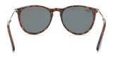 Hobie Eyewear MAYWOOD Sunglasses | Size 54