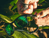 Hobie Eyewear MONARCH FLOAT Sunglasses | Size 53 / Satin Black / Sea Green Mirror