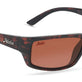 Shiny Dark Brown Tortoise