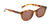 Hobie Eyewear WRIGHTS Sunglasses | Size 48 / Shiny Brown Tortoise