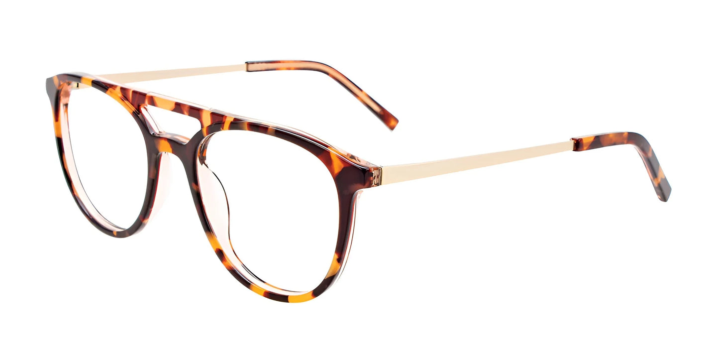 iCHILL C7043 Eyeglasses Demi Brown / Satin Gold