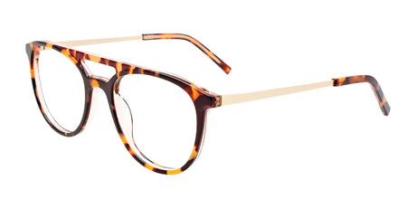 iCHILL C7043 Eyeglasses Demi Brown / Satin Gold