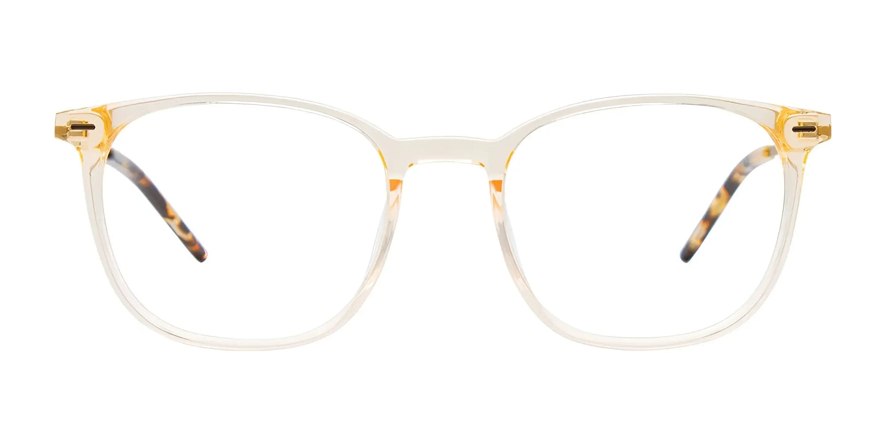 iCHILL C7056 Eyeglasses | Size 52