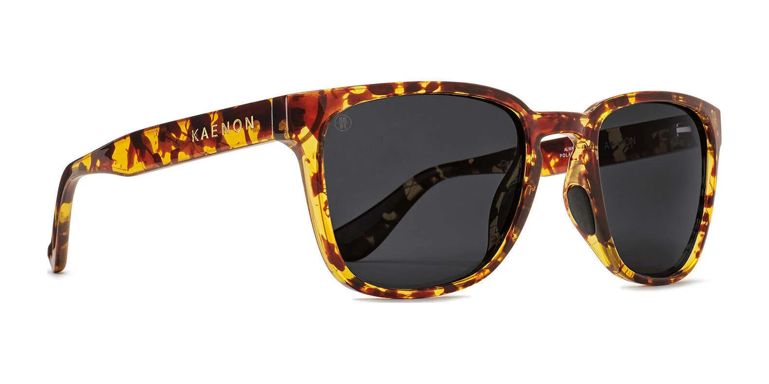 Kaenon AVALON Sunglasses 150 / Tokyo Tortoise