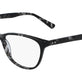 Black Tortoise