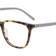 Tortoise With Grey