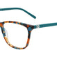 Tortoise With Teal
