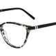 Black Tortoise