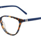 Tortoise With Blue