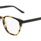 Tokyo Tortoise