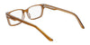 Nike 7174 Eyeglasses | Size 53 / Amber/Smoke Laminate