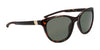 Nike CITY HERO EV24006 Sunglasses | Size 55 / Bio Beige/Brown