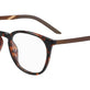 Tortoise