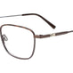 Tortoise/Steel