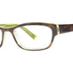 Tortoise / Green