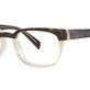 Dark Tortoise / Antique Crystal