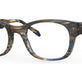 Brown Navy Tortoise
