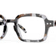Grey Gold Tortoise